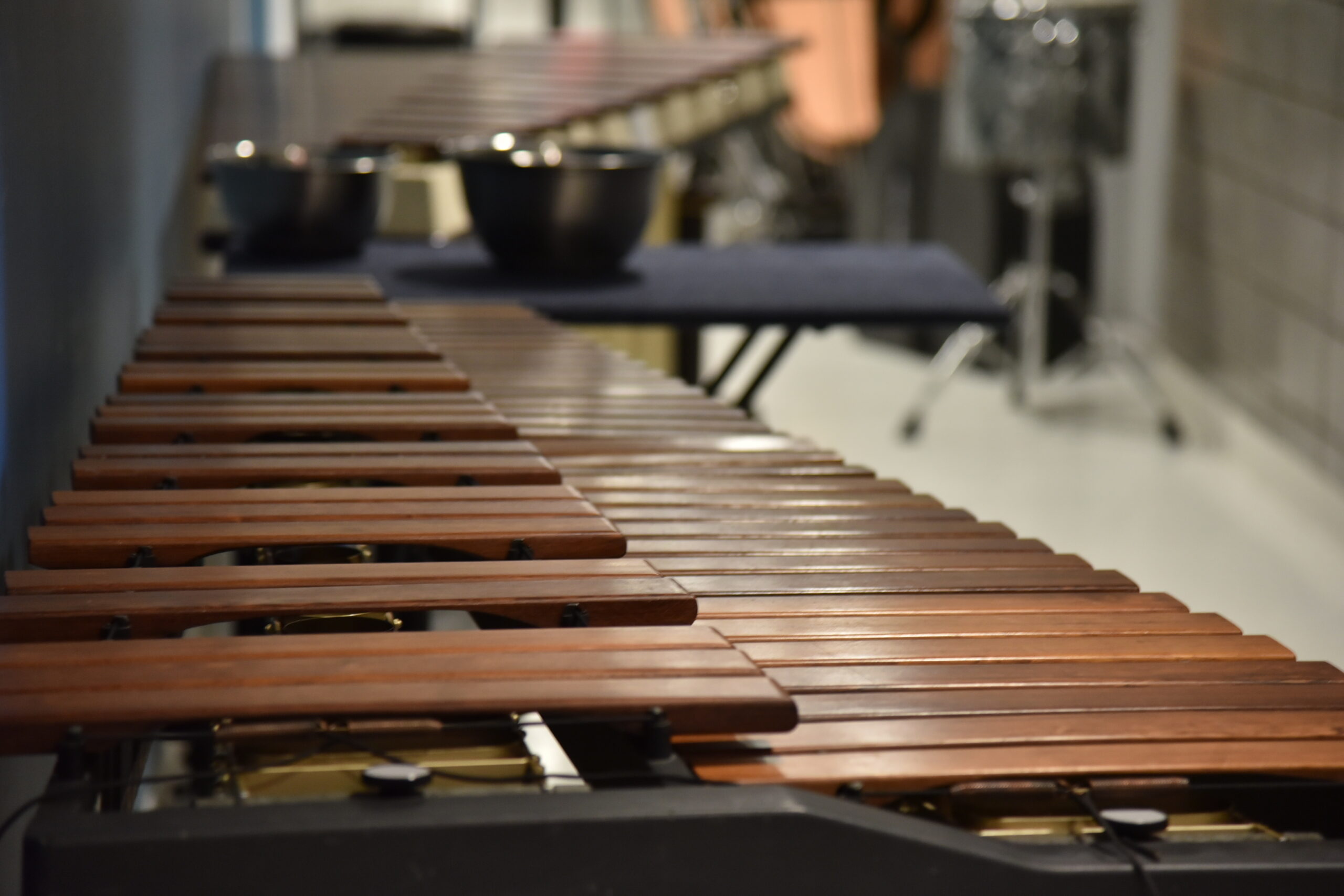WIPD percussion xylophone instrument