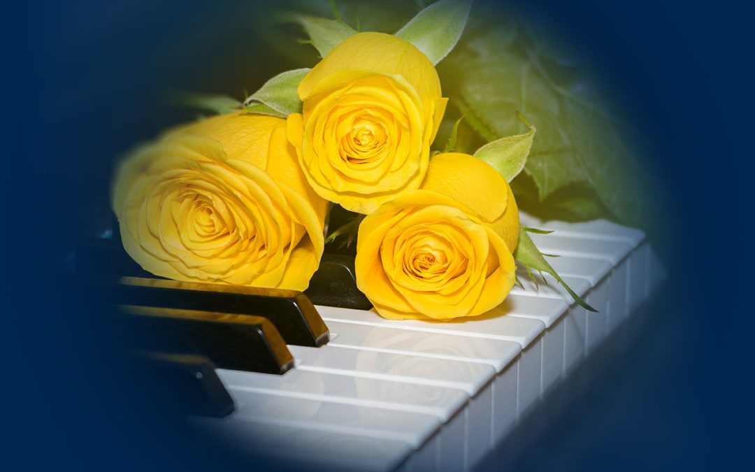 Three yellow roses laid on a piano