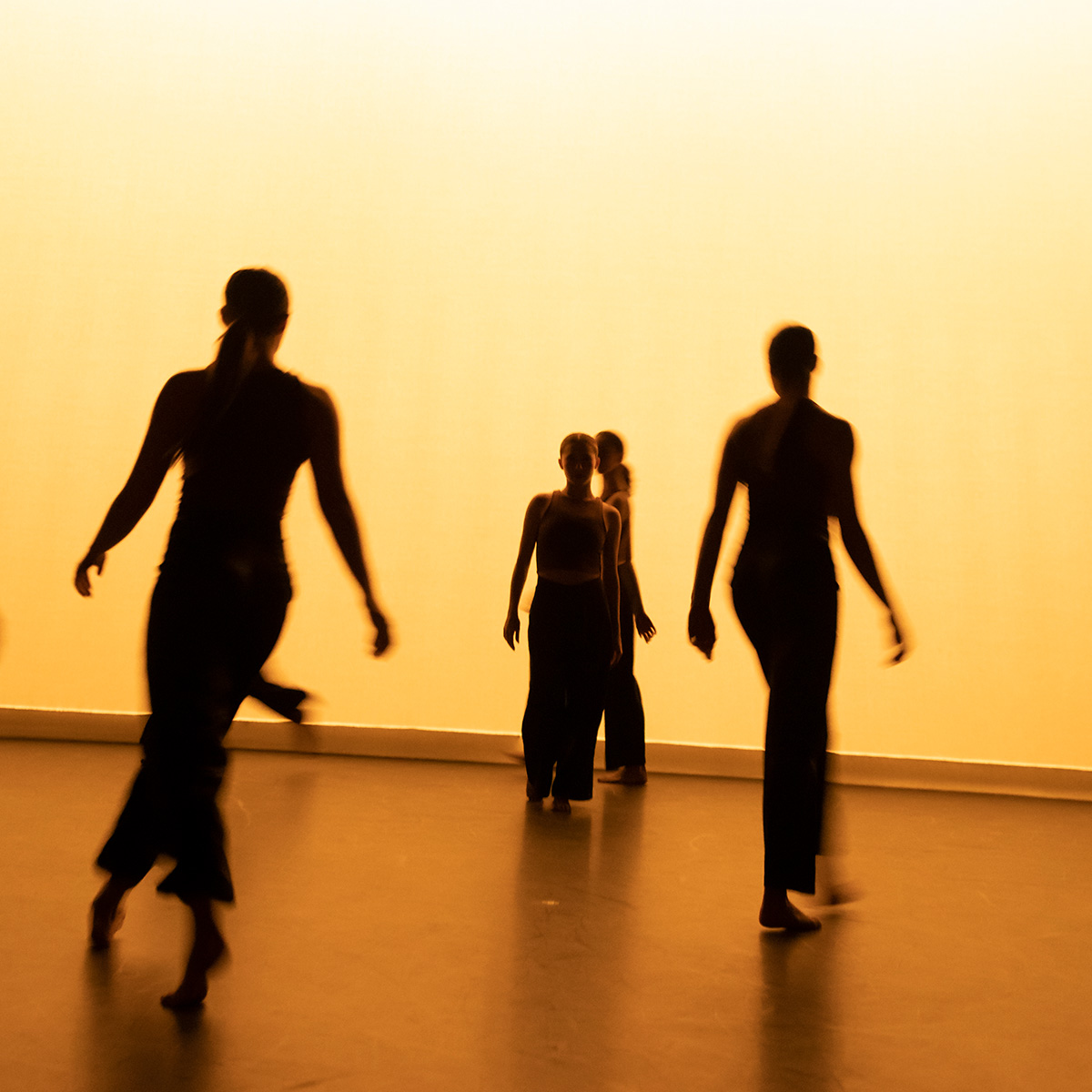 Dancer silhouettes in movement against a yellow lighted backdrop