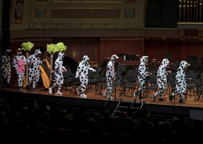 Orchestra musicians begin to file on stage, led by a series of 9 cow costumes