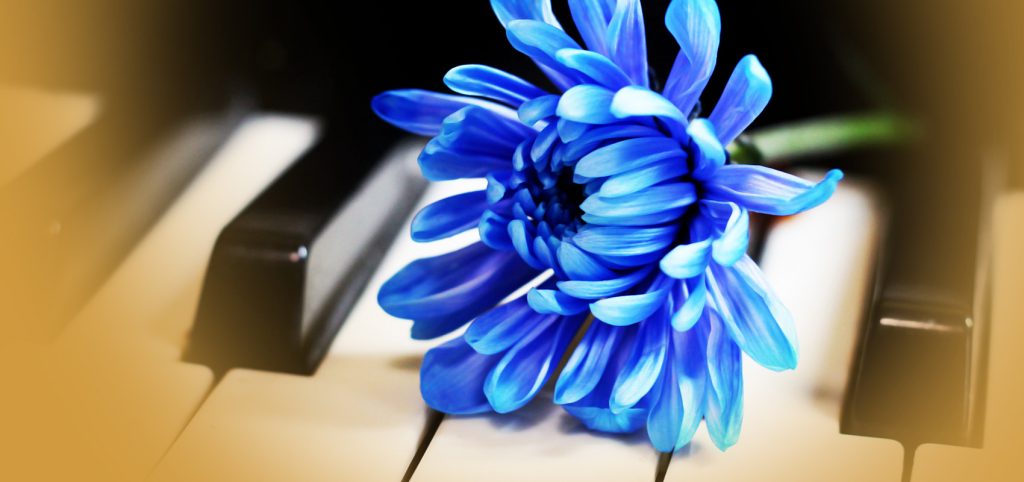 A blue flower rests on piano keys, with yellow shading around the edges of the photo