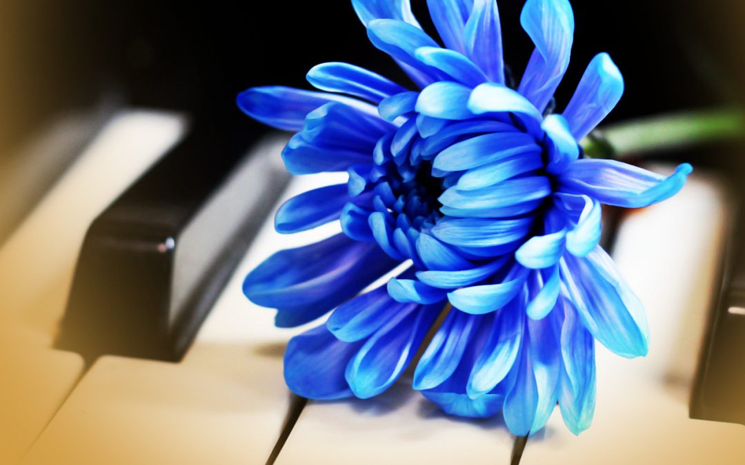 A blue flower rests on piano keys, with yellow shading around the edges of the photo