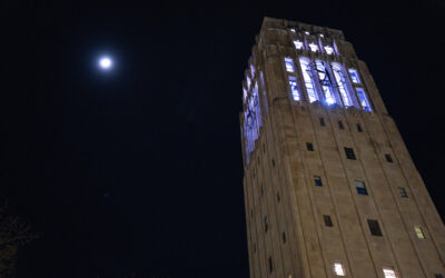 Meghan Wysocki, carillon