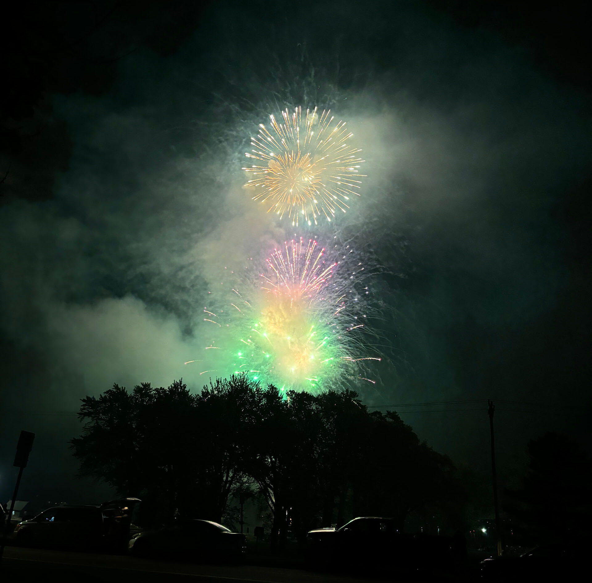 Colorful fireworks explode on a dark night, above a stand of trees.