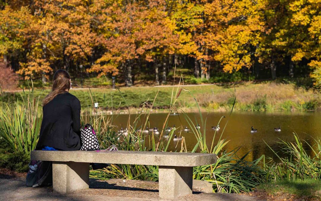 Someone sits on a bench facing the SMTD Pond, with ducks on the water and colorful fall trees.