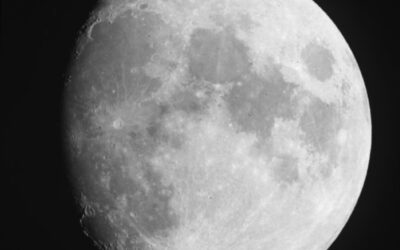 Mid-Autumn Moon Celebration