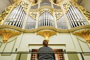 Organ player seated while playing, with silver organ pipes adorned with fancy gold trim rising high above them