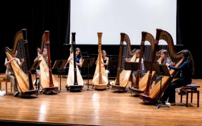 MPulse Harp Institute: Final Performance
