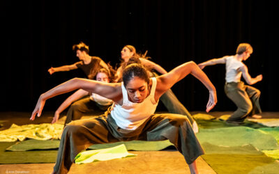 GREEN HOUSE – an environmental dance performance