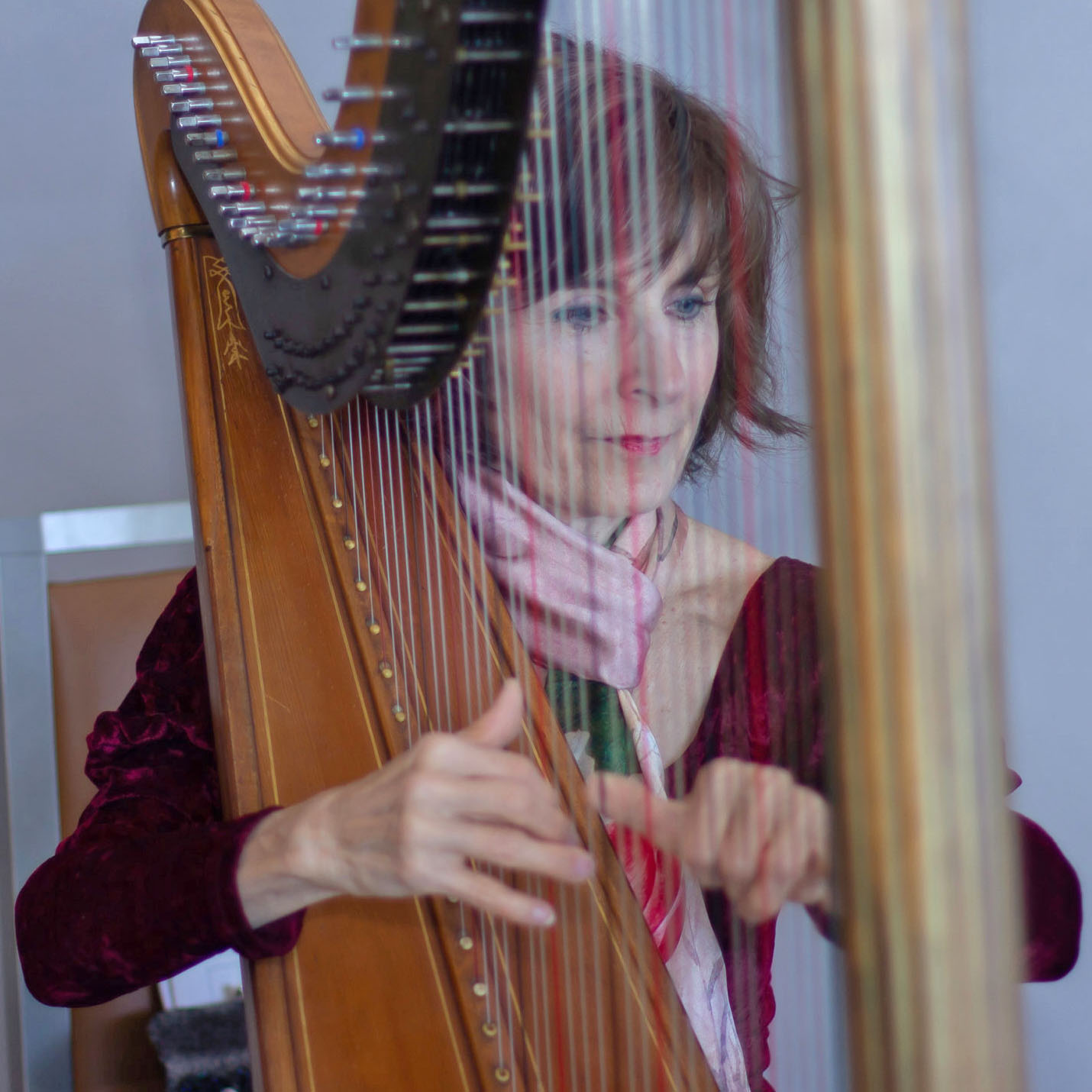 Candid photo of Stephanie Bennett playing the harp, with her face behind the harp strings.