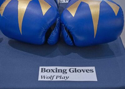 Boxing gloves prop from Wolf Play.