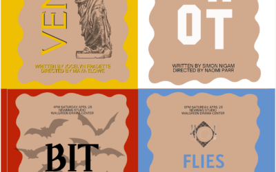 PlayFest: Flies in the Maafe
