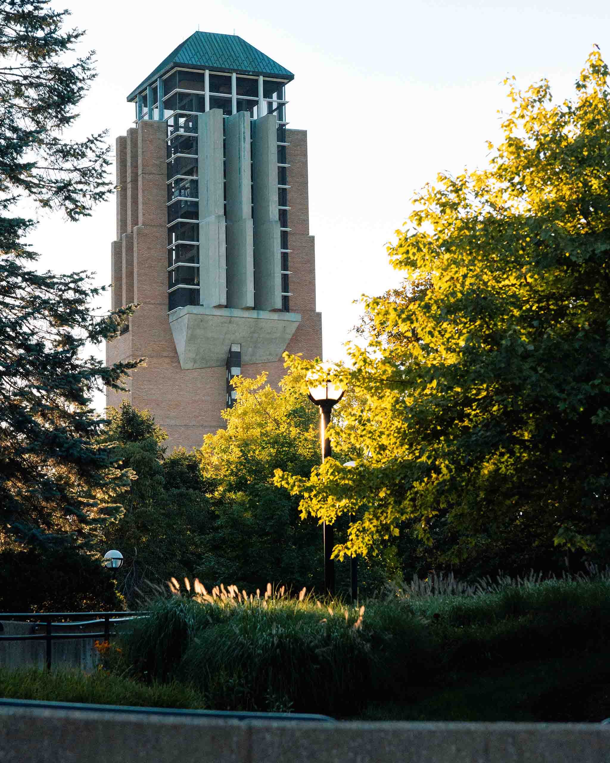 North Campus trees with Lurie Tower rising above in the distance.