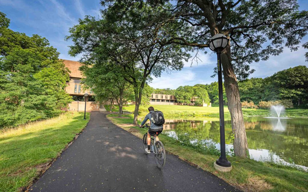 A biker takes the path towards the SMTD Moore Building on a summer day, with the SMTD Pond at right.