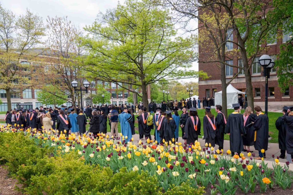 On a cloudy spring day, dozens of graduating students line up outside the side door to Hill Auditorium, attired in academic regalia. A bed of colorful tulips is in the foreground.