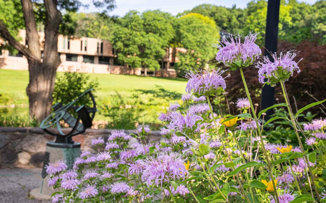 A view towards the Moore Building with leafy trees in the distance. In the foreground are a treble clef sculpture and light purple and yellow flowers.