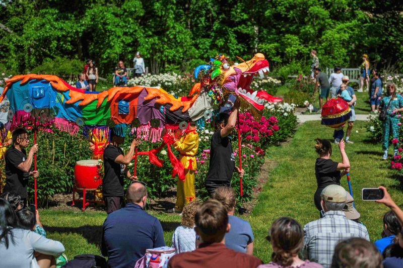 Dragon dance with full scale dragon body in Peony Garden